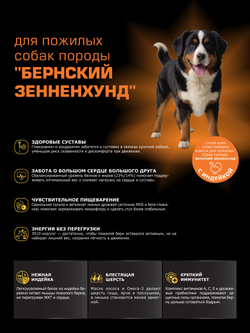 Quattro корм для пожилых собак породы Бернский зенненхунд (5+), с индейкой, 12 кг, QUATTRO