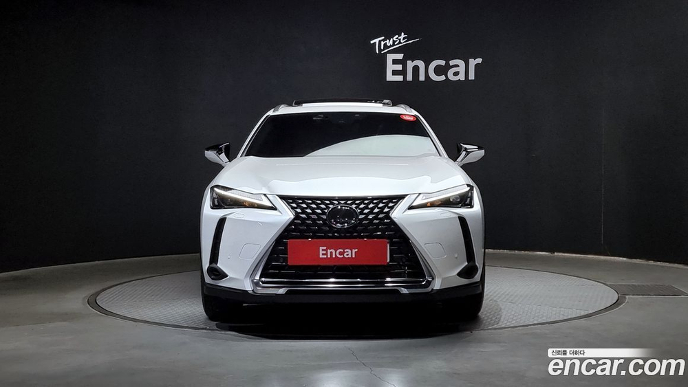 Lexus UX250h 2.0 2WD (12.2023)