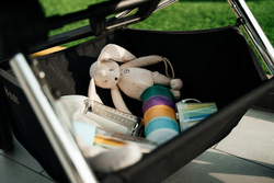 Прогулочная коляска Labala Raiz Lite Black