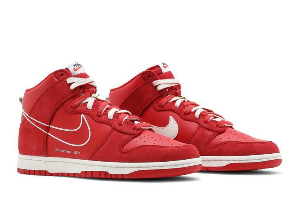 Кроссовки Nike Dunk "First Use"