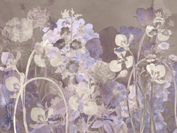 Коллекция PALEO