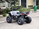 Lion 125 RR серый