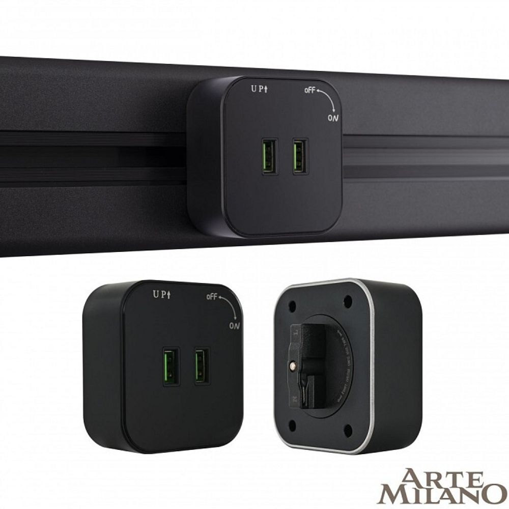 Розетка 2xUSB на треке Arte Milano Am-track-sockets 380022TS/USBx2 Black
