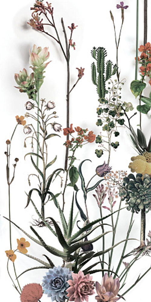 Декорированный керамогранит 41zero42 PAPER41 LUX FRANZ 60x120 (3 варианта паттерна)