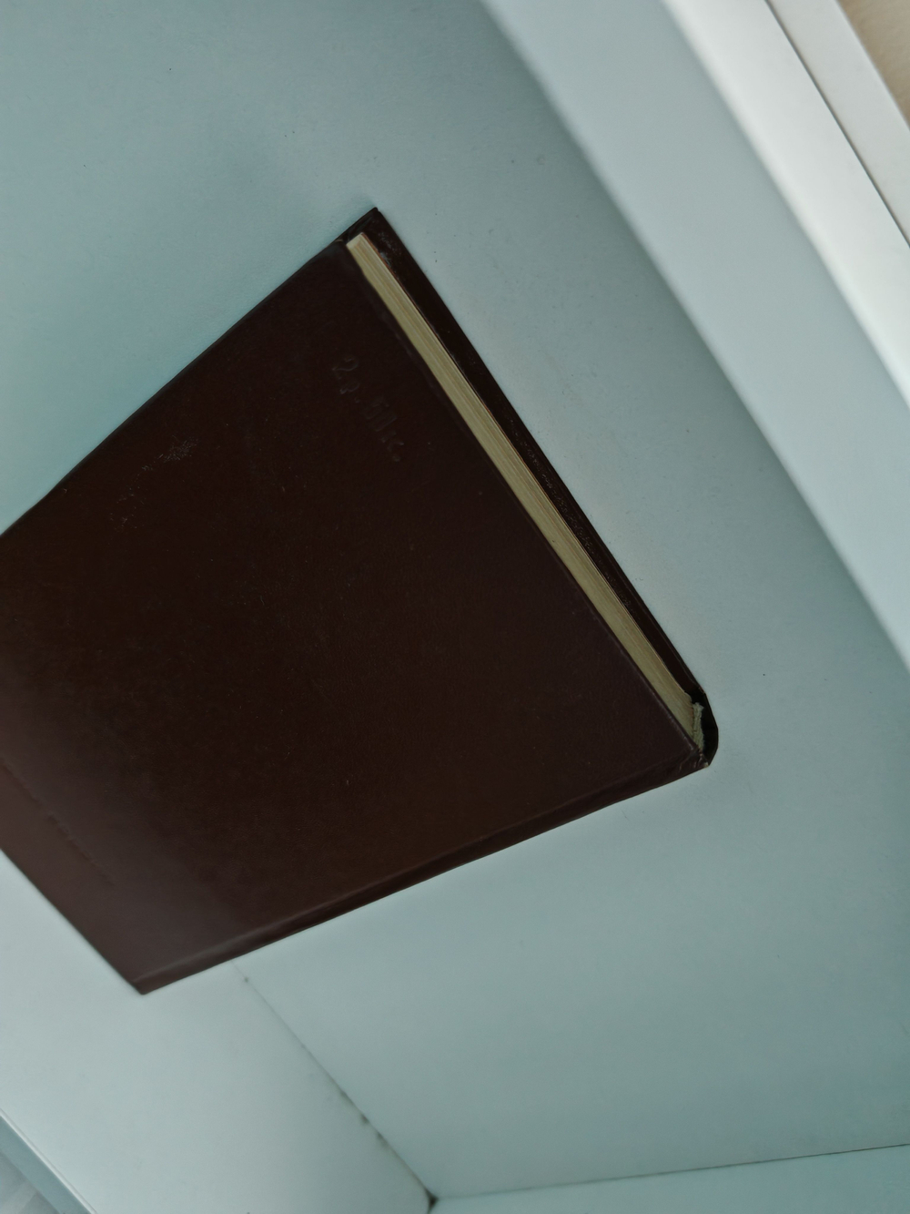 Л. Н. Толстой. Повести