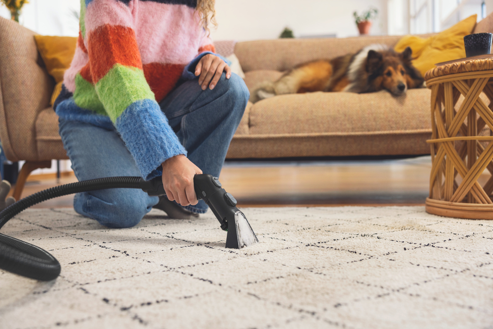 Моющий пылесос SE 3 Compact Home Floor