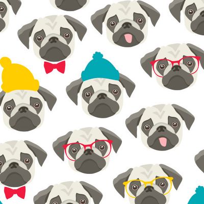 Мопсы на белом