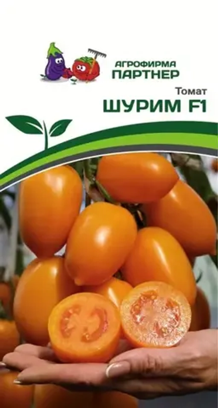 Томат Шурим