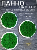 Круглое панно на стену из мха набор 3 шт.