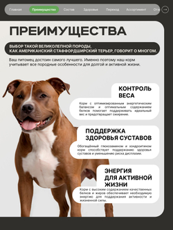 Корм сухой для взрослых собак породы Американский стаффордширский терьер, с ягненком, 2.5 кг, QUATTRO