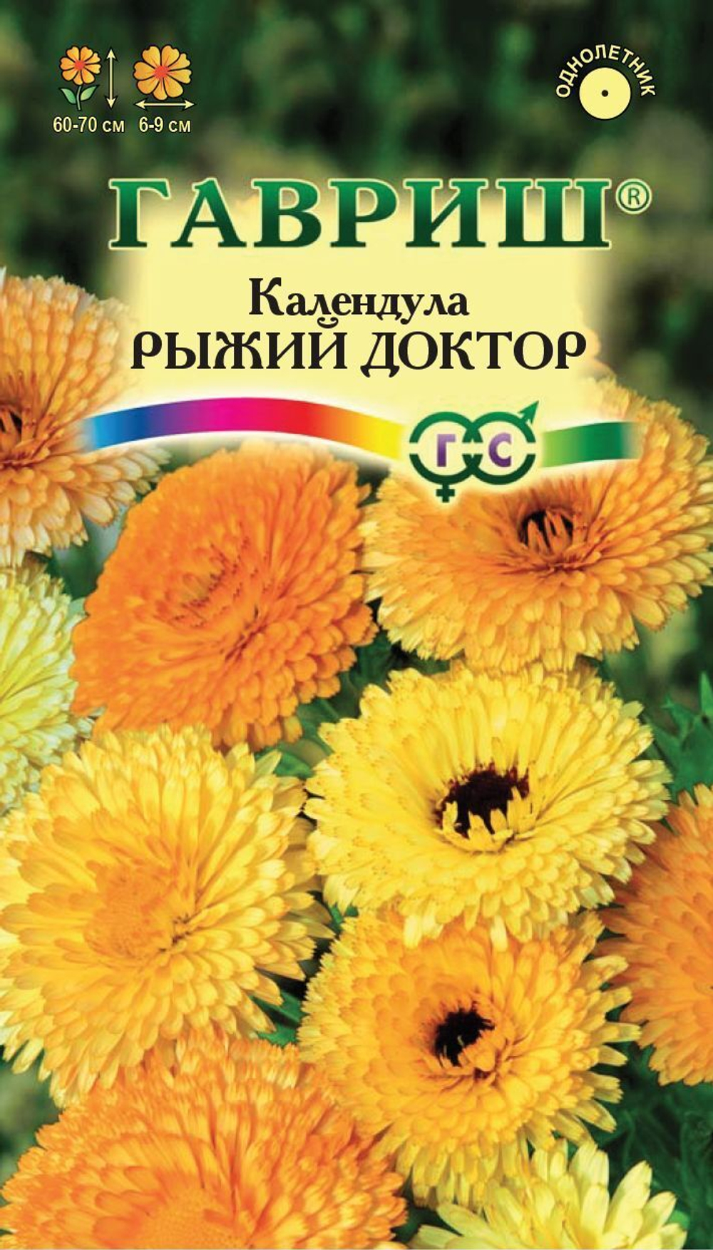 Календула Рыжий доктор