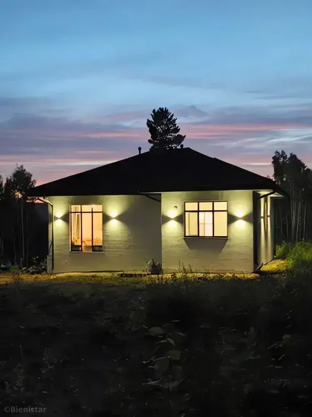 Светильник уличный фасадный настенный на дом двусторонний 220в ip65