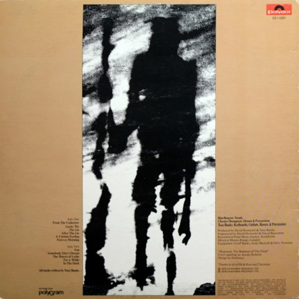 Tony Banks / A Curious Feeling (LP)
