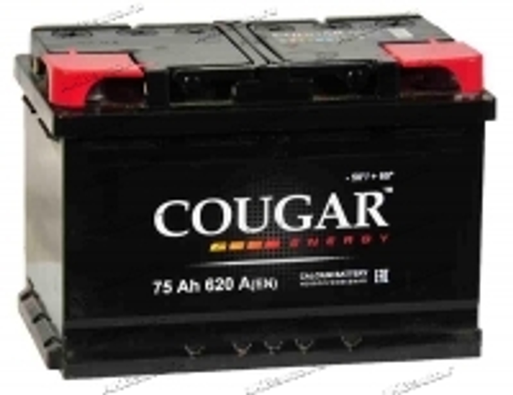 Аккумулятор 6СТ-75 А.ч., о.п., R+, COUGAR Energy