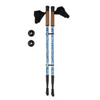 Палки Vinson P300 (синие)