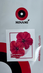 Петуния мелкоцветковая Карлик F1 Красная 25шт