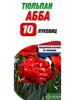 Тюльпан Луковица, Абба, 10шт