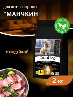 Корм сухой для котят породы Манчкин, с индейкой, 2кг, QUATTRO