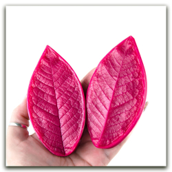 Листья черемухи большие