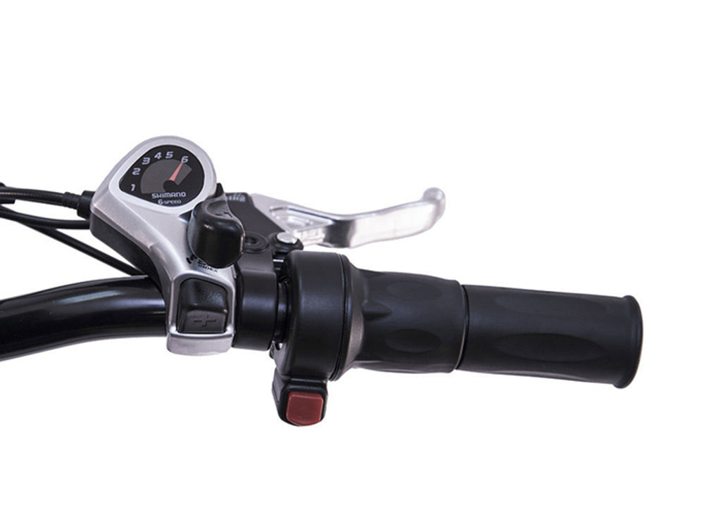 Электровелосипед Wellness PRADO 350