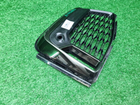 Решетка перед. бампера BMW 7er G11 (19-22) M-paket