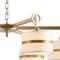 Подвесная люстра Favourite Mateo 2634-6P