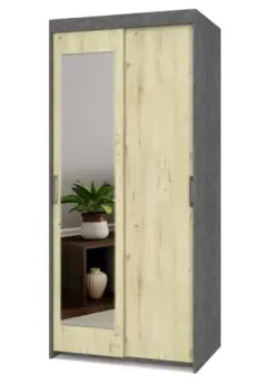 Шкаф-купе двухстворчатый "Томас" Т22 (Камень темный\Ирландский дуб)