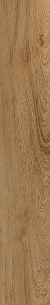 Керамогранит WOOD Oakland Ginger MATT + RELIEF (ENWD1054SR20120)