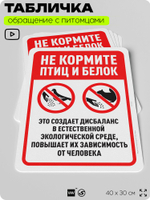 Табличка "Не кормите птиц и белок" на дверь и забор, для двора, дома, подъезда, 40х30 см, Silver Plane x Айдентика Технолоджи