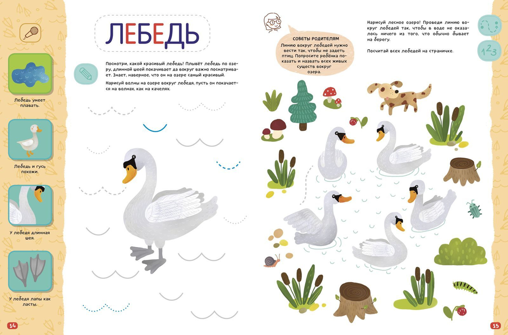 Птицы. Компакт-технологии для одарённых малышей