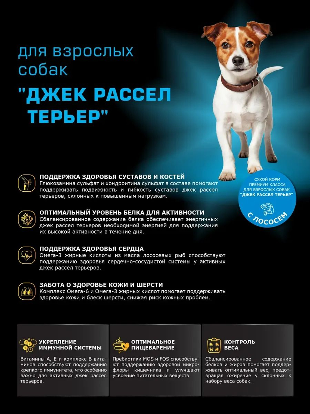 Корм сухой для взрослых собак породы Джек Рассел Терьер, с лососем, 12 кг, QUATTRO