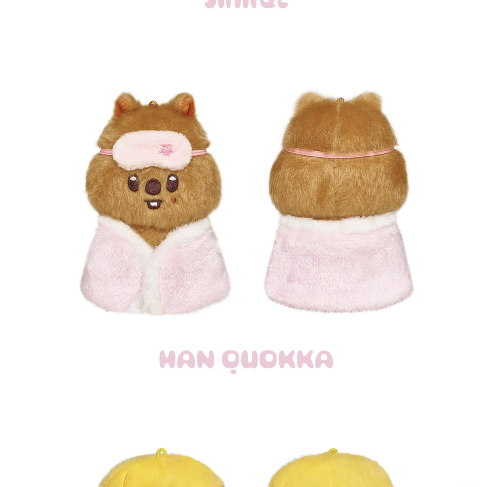 Купить Плюш SKZOO PLUSH 10CM Ver. - STAY in Our Little House