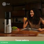 Соковыжималка Trouver Slow Juicer SJ10