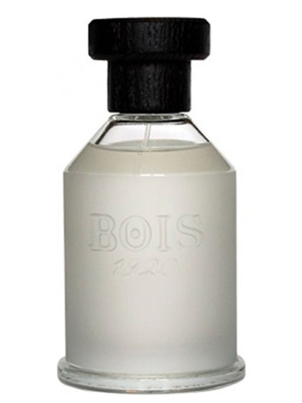 Bois 1920 Sopra Il Mare