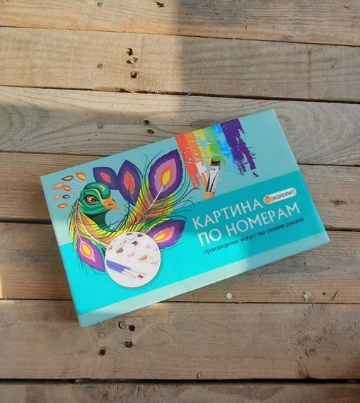 Nömrələr ilə rəngləmə \ Картина по номерам E550