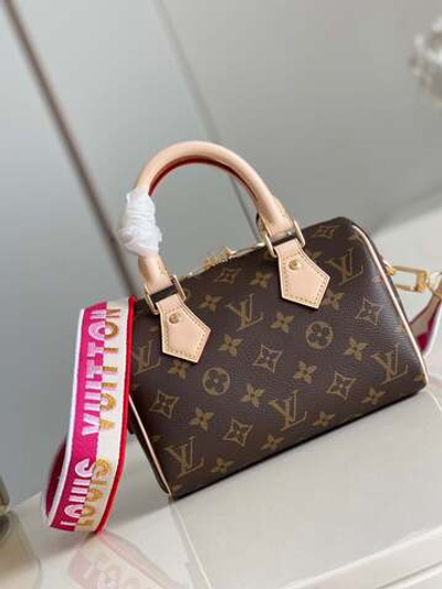 Louis Vuitton Speedy 20