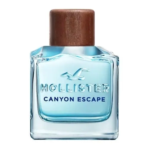 Мужской парфюм Hollister Canyon Escape Man Eau de Toilette 100 мл