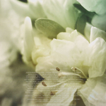 Soundgarden / King Animal (2LP)