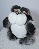 Кот Марсель (черно-шиншилловый) - уникальный окрас