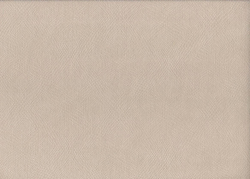 Велюр Карат 02