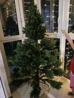 Искусственная ель «Леано» (Литая хвоя) от 1.8 до 2.4 м