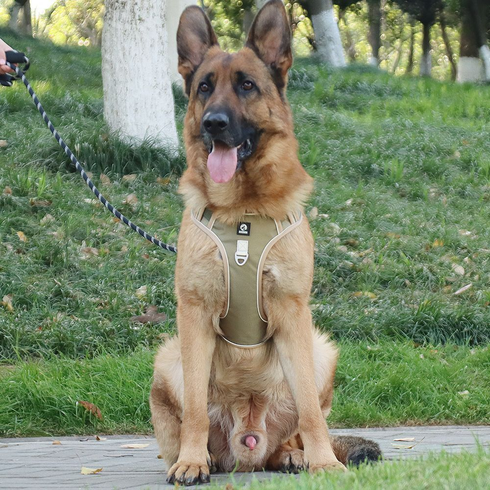 Шлейка для собак средних и крупных пород универсальная прогулочная тренировочная для дрессировки со светоотражателем жилет-трансформер хаки размер XL