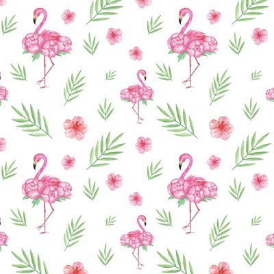 Фламинго, тропики