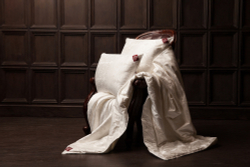 Одеяло шелковое German Grass Fly Silk фото