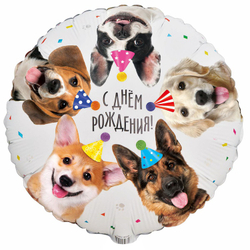 К 18" РУС ДР Собачки фотографичные