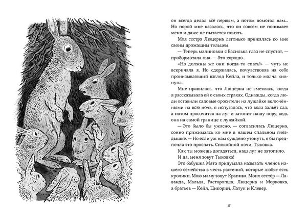 Необыкновенное спасение на Молочайном лугу