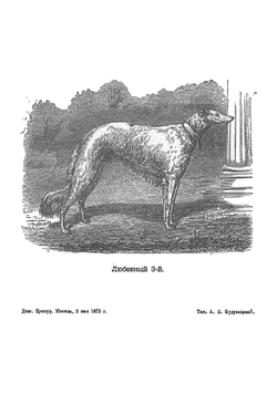 40 лет постоянной охоты. Из воспоминаний старого охотника | Киреевский Николай Васильевич
