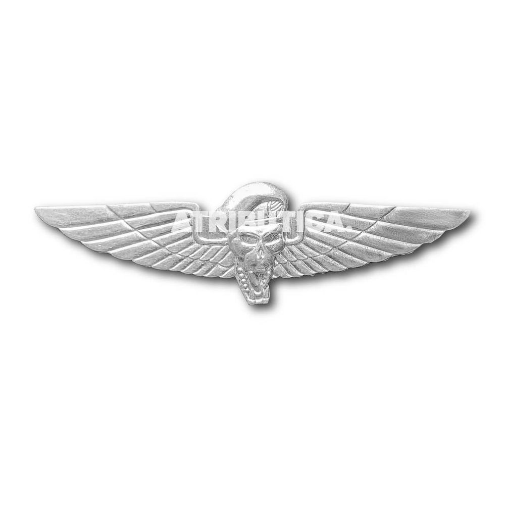 Знак Нагрудный Эмблема Спецназа С Крыльями | ATRIBUTICASTORE.RU