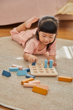Деревянный сортер Plan Toys «Доска с геометрическими фигурами»