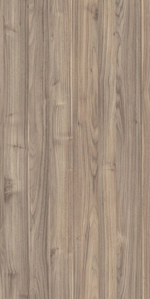 Светлый кипарис